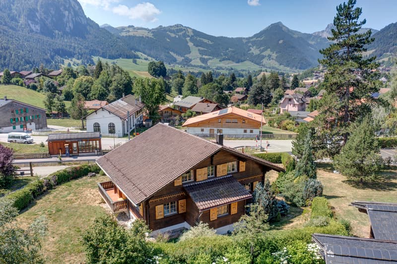 Château-d'Oex - Chalet charmant avec grand jardin (6)