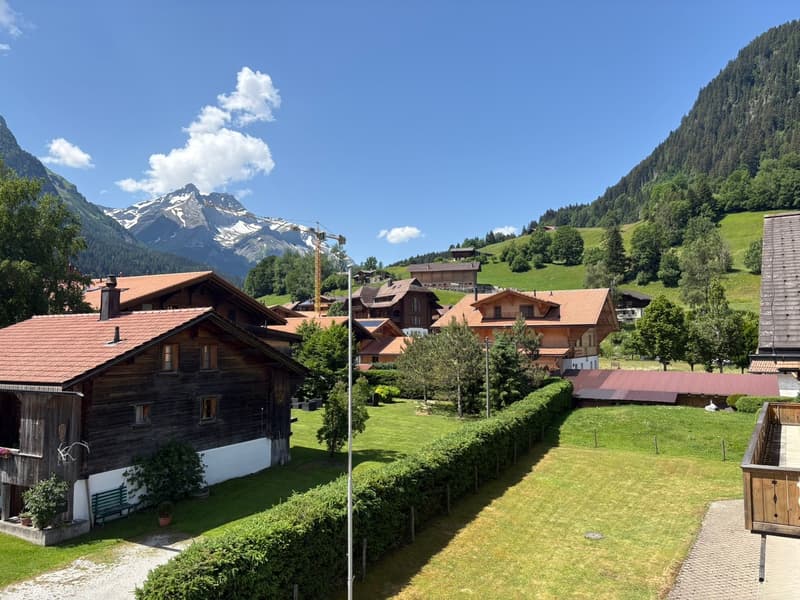 Vue ouest / Blick nach Westen / West-facing view