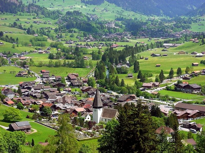 Appartement ensoleillé entre Saanen et Gstaad (7)