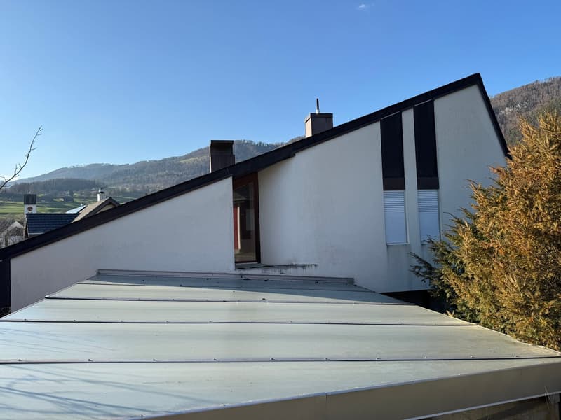 Villa mit Studio und Dopplelgarage an bevorzugter Südhanlage (4)