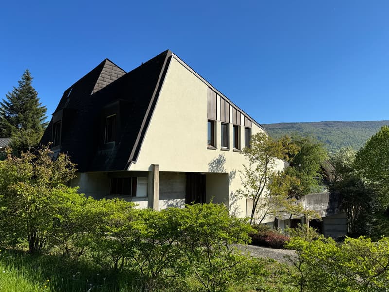 Villa mit Studio und Dopplelgarage an bevorzugter Südhanlage (3)