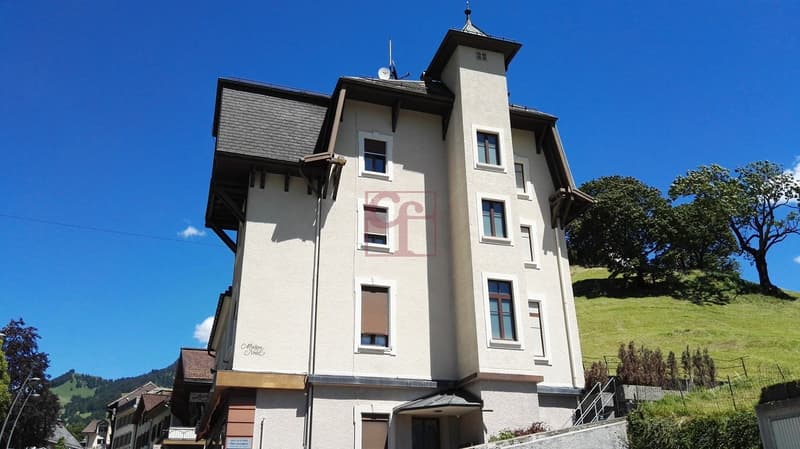 Immeuble mixte en PPE au coeur du village (6)