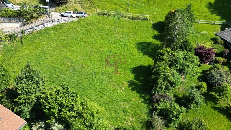À vendre - Terrain constructible à Rossinière (3)