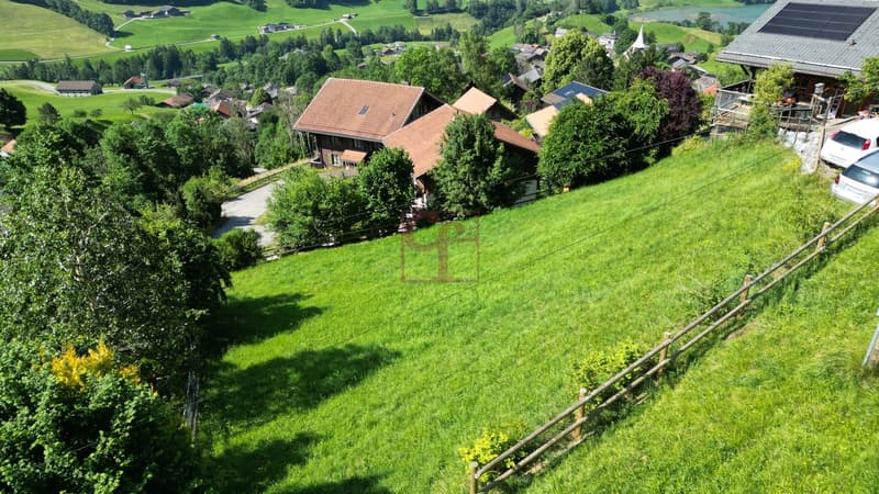À vendre - Terrain constructible à Rossinière (1)
