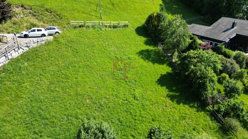 À vendre - Terrain constructible à Rossinière (2)