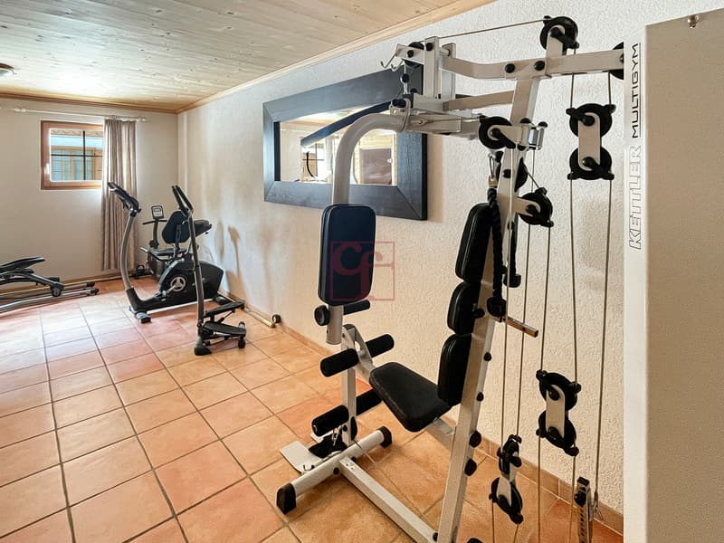 Aux portes de Gstaad - Charmant 3.5 pièces (7)