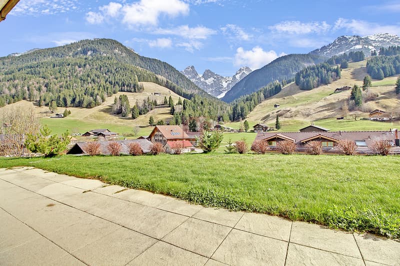 Aux portes de Gstaad - Charmant 3.5 pièces (5)