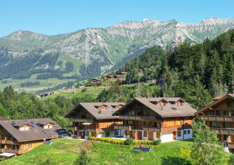 Aux portes de Gstaad - Charmant 3.5 pièces (7)
