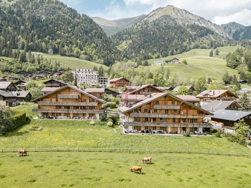 Château-d'Oex - Appartement dans cadre bucolique (1)