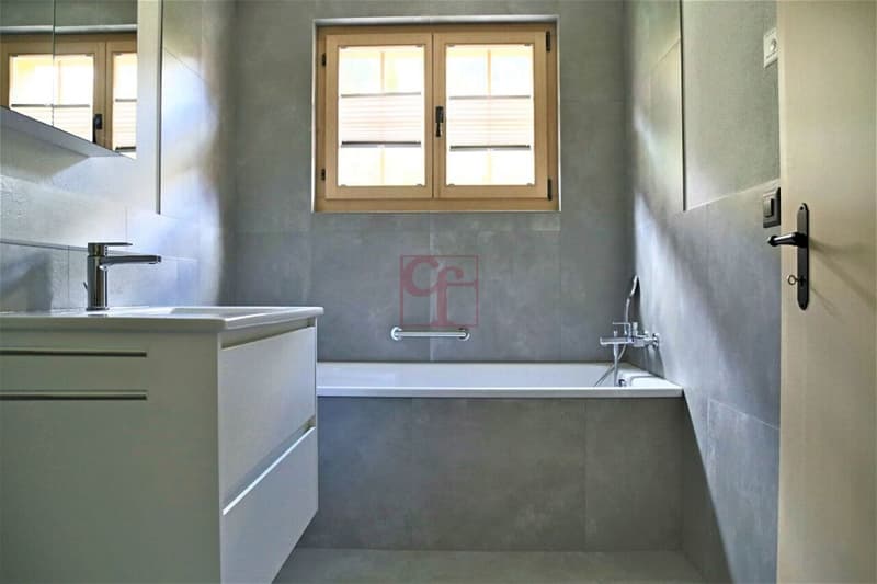 Château-d'Oex - Appartement dans cadre bucolique (6)