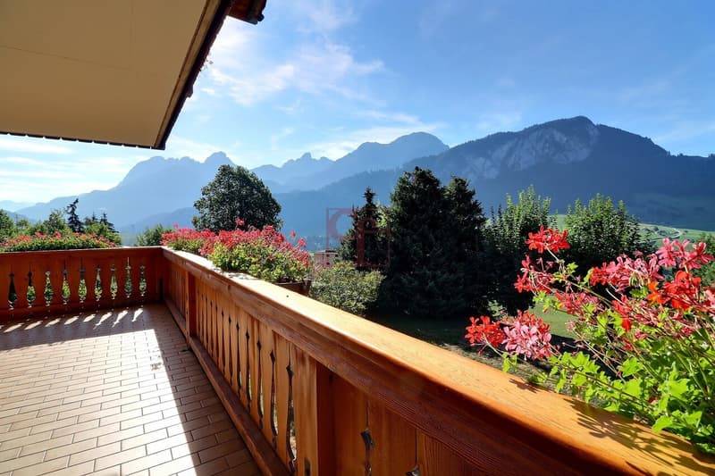 Château-d'Oex - Bel appartement dans une résidence soignée (2)