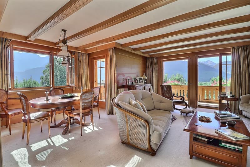Château-d'Oex - Bel appartement dans une résidence soignée (1)