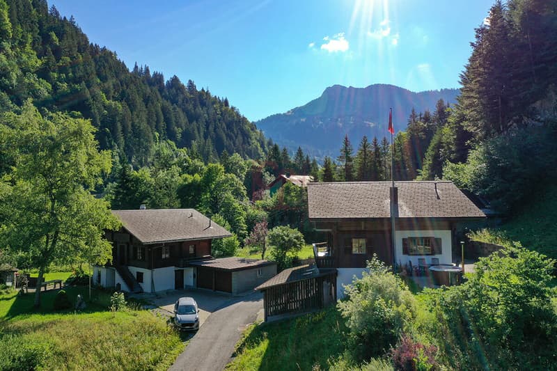 Magnifique chalet sur plan à Jaun (6)