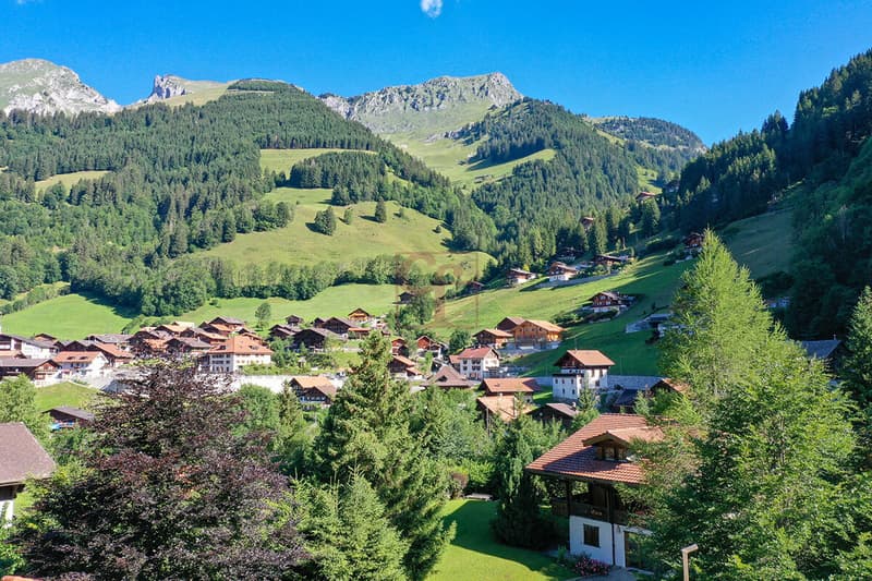Magnifique chalet sur plan à Jaun (4)