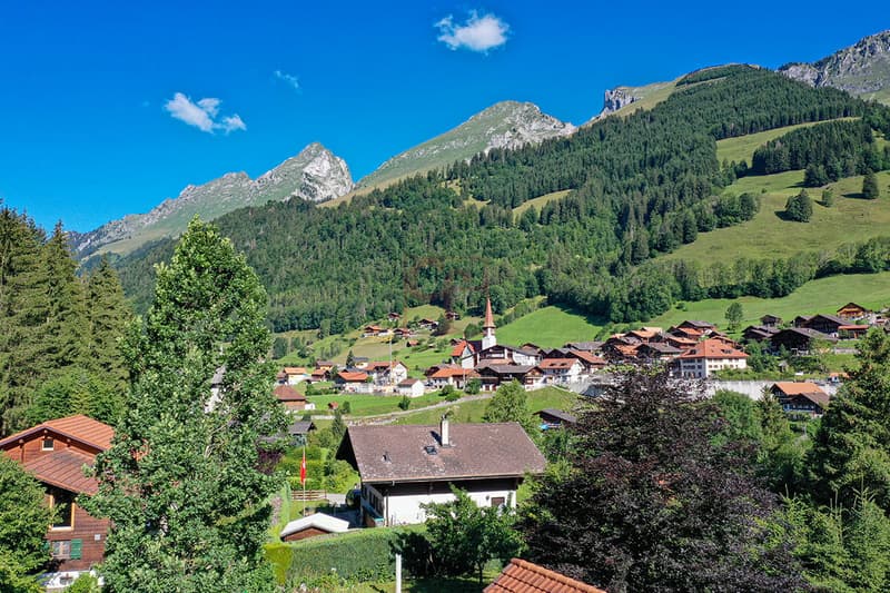 Magnifique chalet sur plan à Jaun (5)