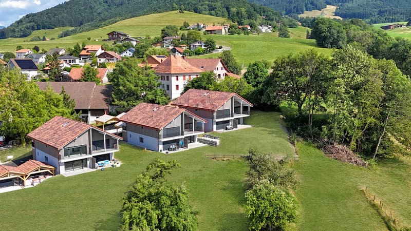 Villarlod - Ne manquez pas la dernière villa ! (5)