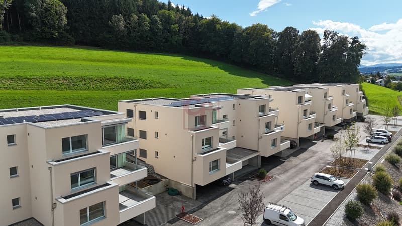 Arconciel - Magnifique appartement neuf de 4.5 pcs (4)