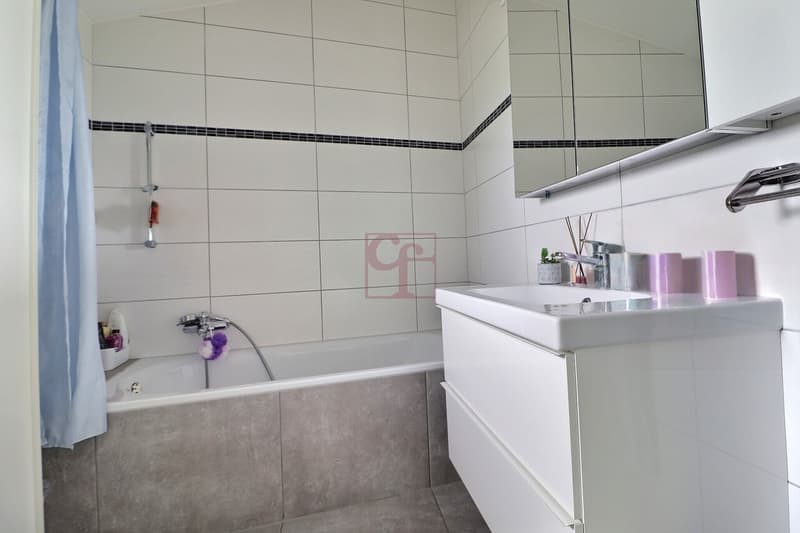 5,5 pièces rénové : salle de bain