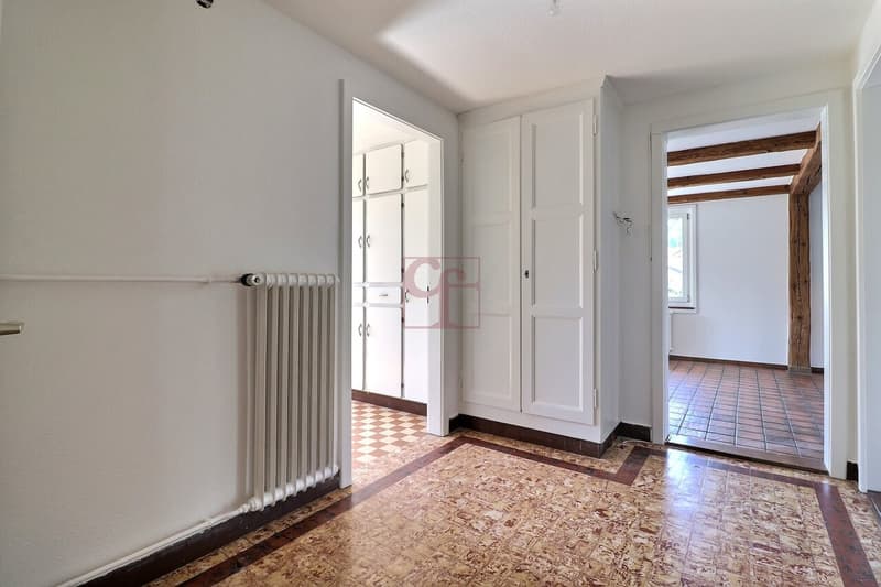 Grand 2.5 pc. (env. 75 m2) avec magnifique jardin arborisé (10)