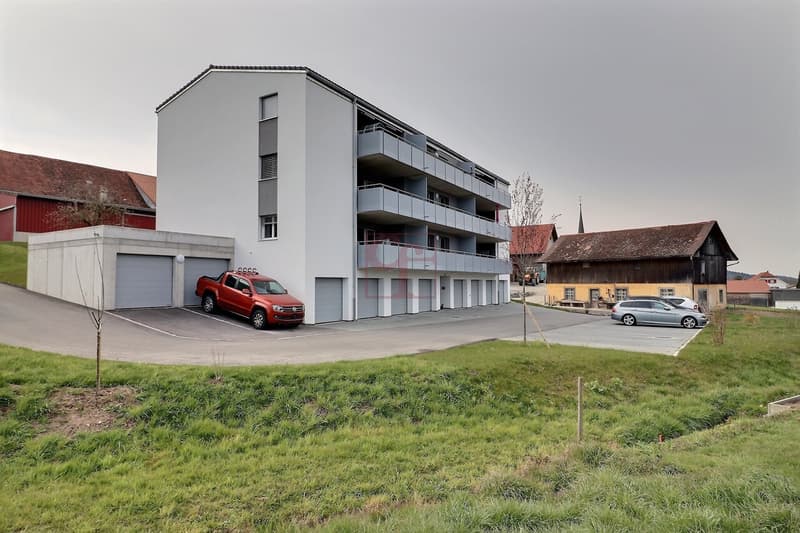 A louer deux superbes appartements de 2.5 pc. (4)