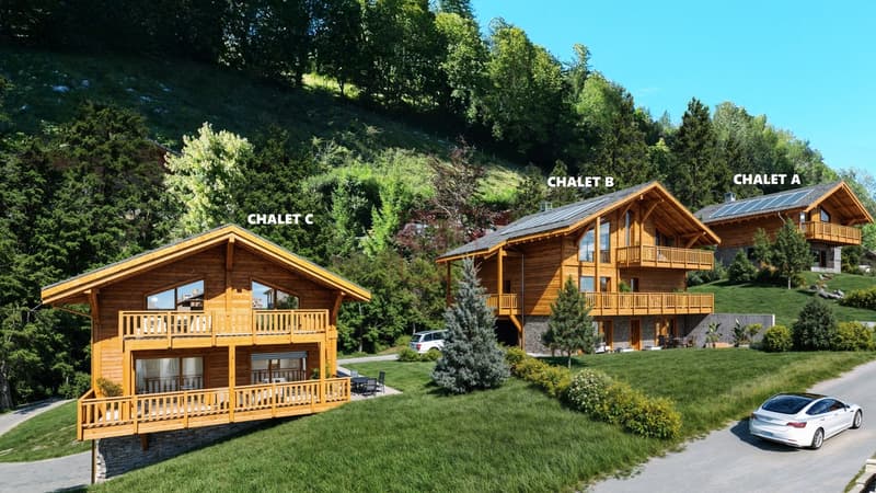 Vue d'ensemble des 3 chalets