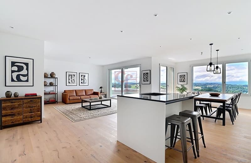 Appartement neuf de 4,5 pièces à 10 min de Fribourg (1)