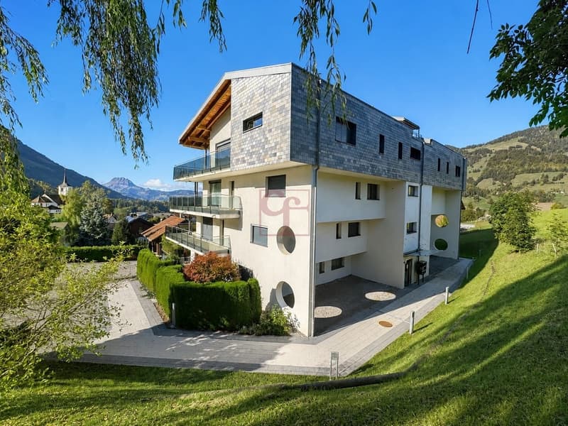 Magnifique appartement de standing contemporain et spacieux (2)