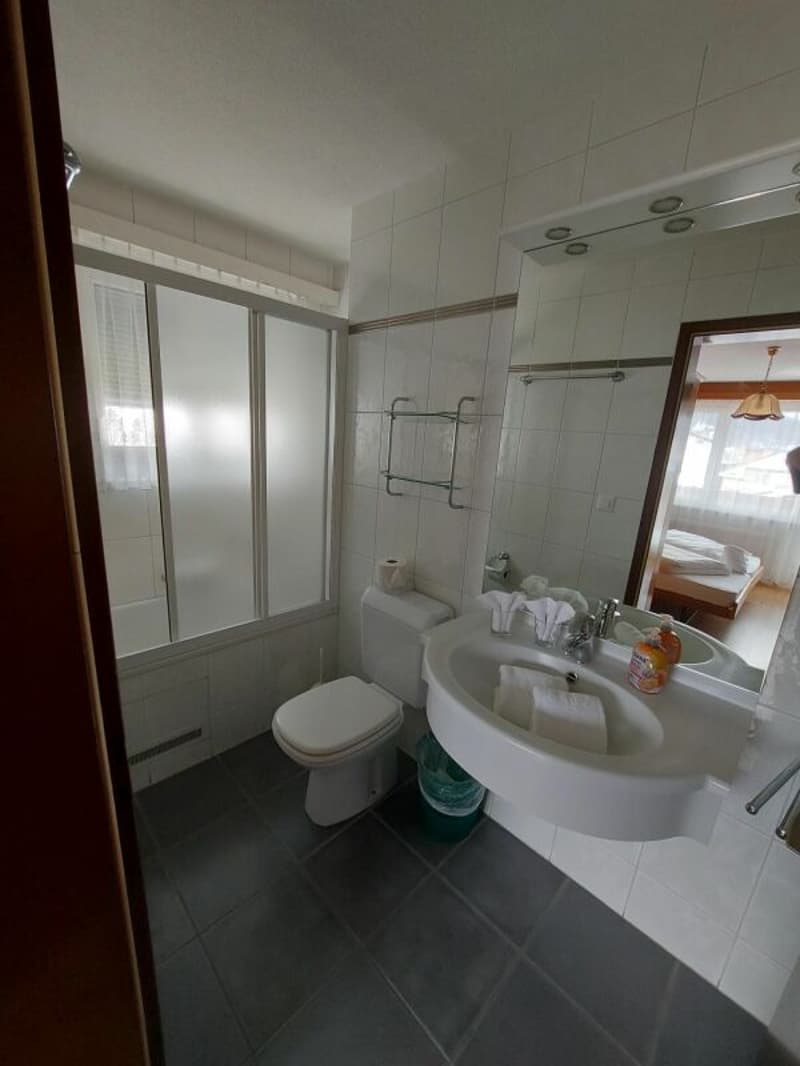 Hotel Alpha, a beautiful 3-star establishment in Saas-Grund (11)