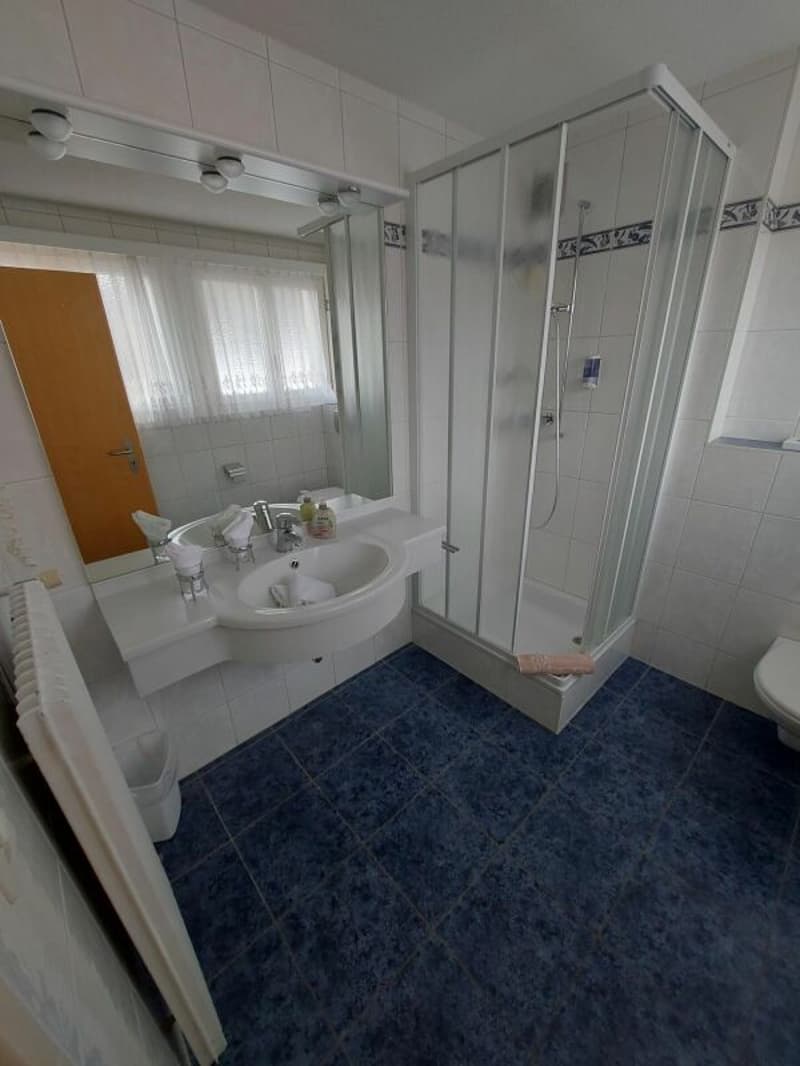 Hotel Alpha, a beautiful 3-star establishment in Saas-Grund (10)
