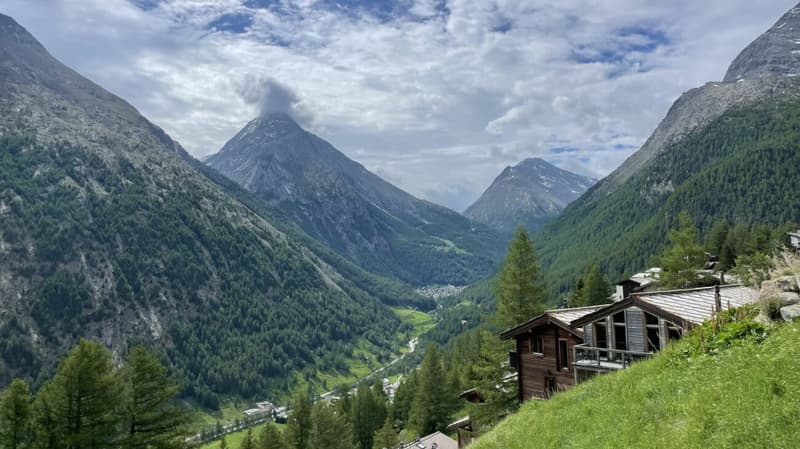Geräumige 2.5 Zimmerwohnung mit Ostbalkon in der sonnigen Wildi (1)