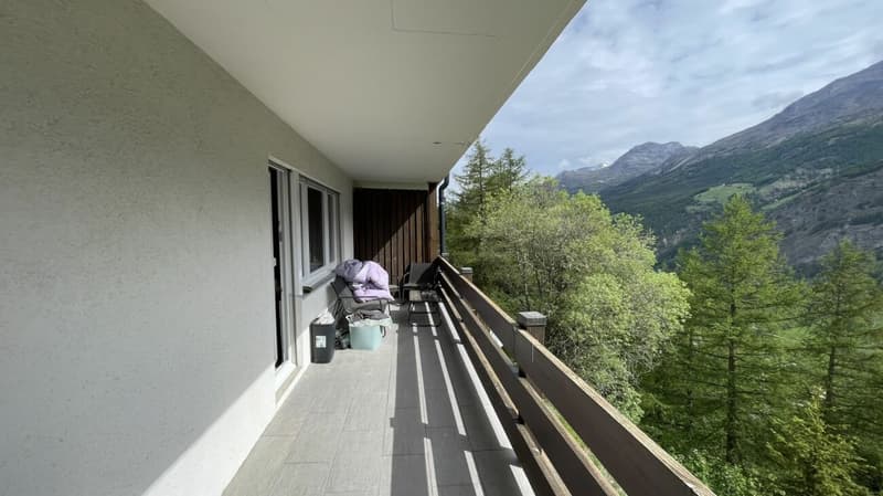 Geräumige 2.5 Zimmerwohnung mit Ostbalkon in der sonnigen Wildi (13)
