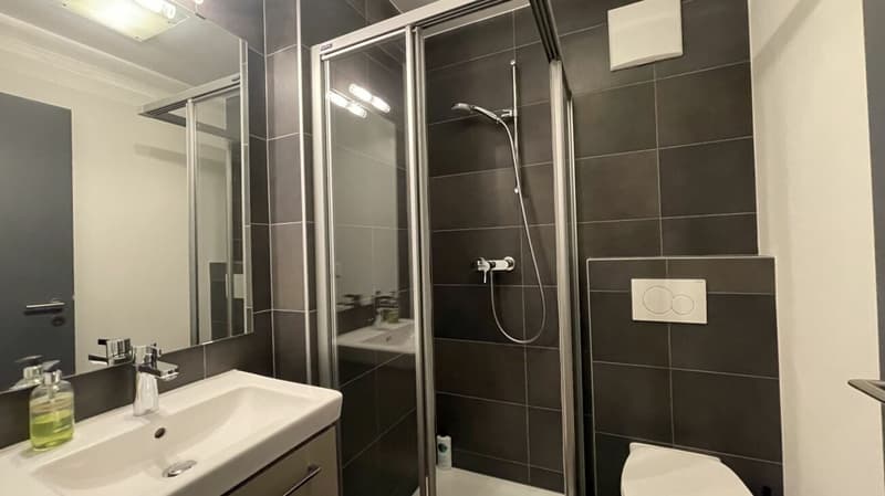 Residence in der sonnigen Wildi 5 Zimmerwohnung. Sehr attraktiver Preis! (8)