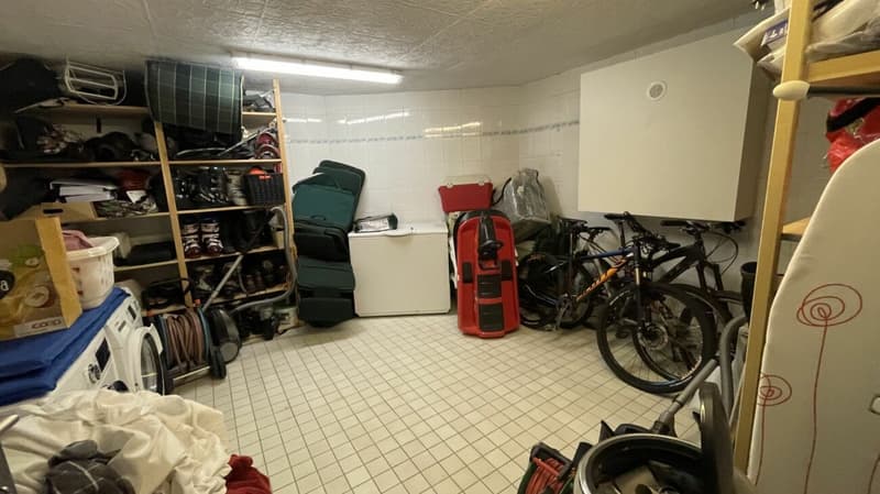 Residence in der sonnigen Wildi 5 Zimmerwohnung. Sehr attraktiver Preis! (15)