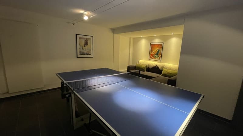 Residence in der sonnigen Wildi 5 Zimmerwohnung. Sehr attraktiver Preis! (18)