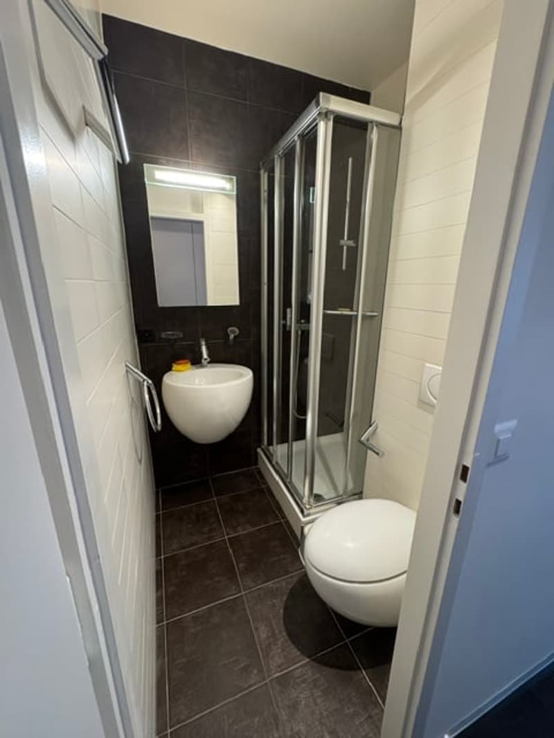 Magnifique appartement en attique de 7.5 pièces avec vue panoramique – Genève Florissant (13)