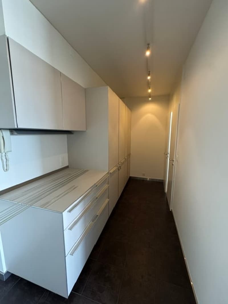 Magnifique appartement en attique de 7.5 pièces avec vue panoramique – Genève Florissant (12)