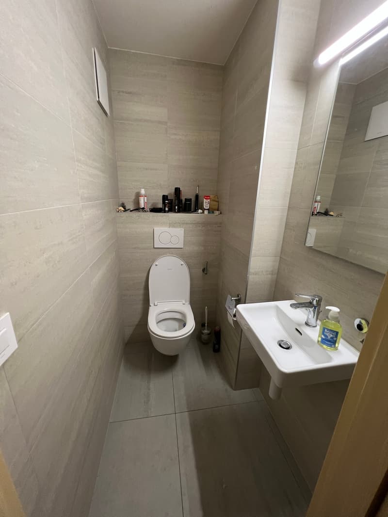 Charmant appartement en attique de 3 pièces à Nyon (9)
