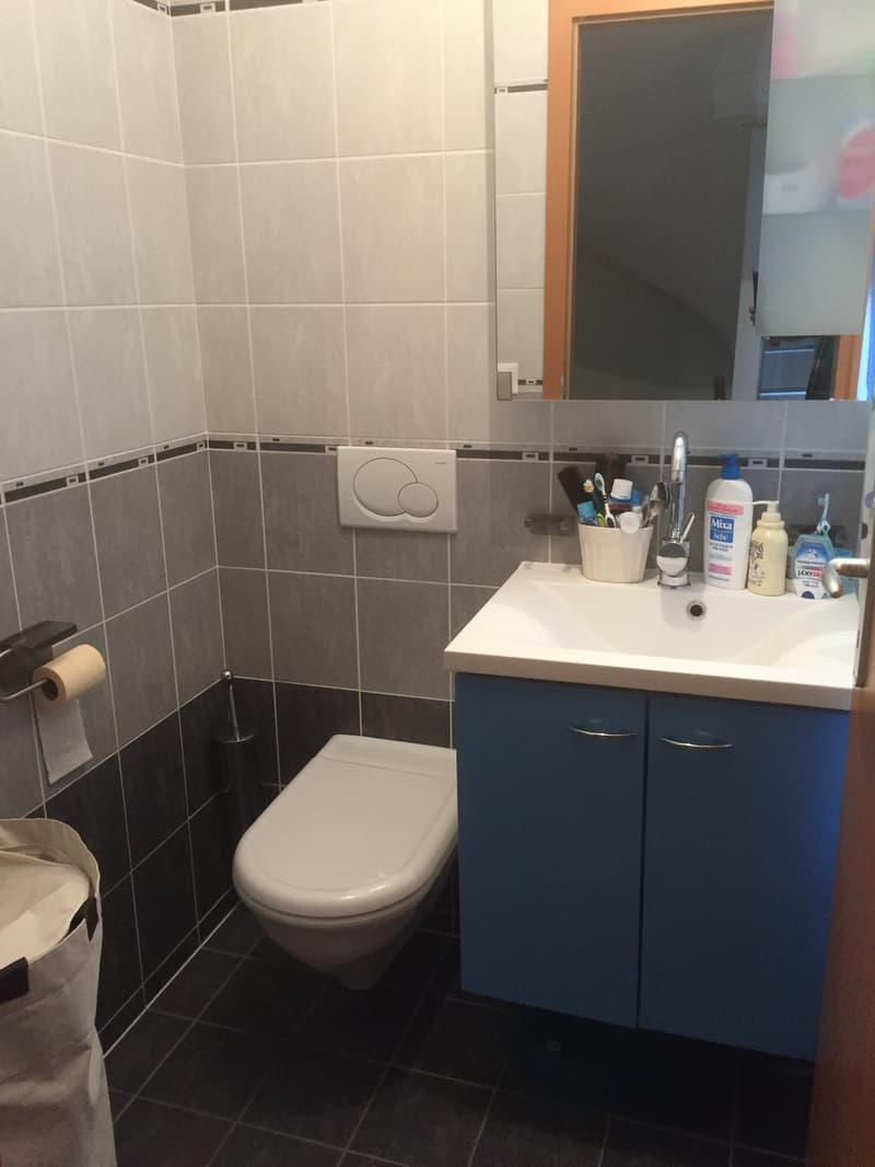 Maison familiale spacieuse de 6 pièces à Bernex (6)
