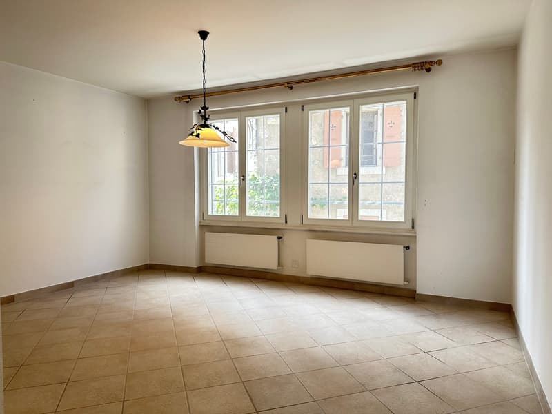 Magnifique appartement 3.5 pièces avec terrasse à vendre à deux pas du lac (8)