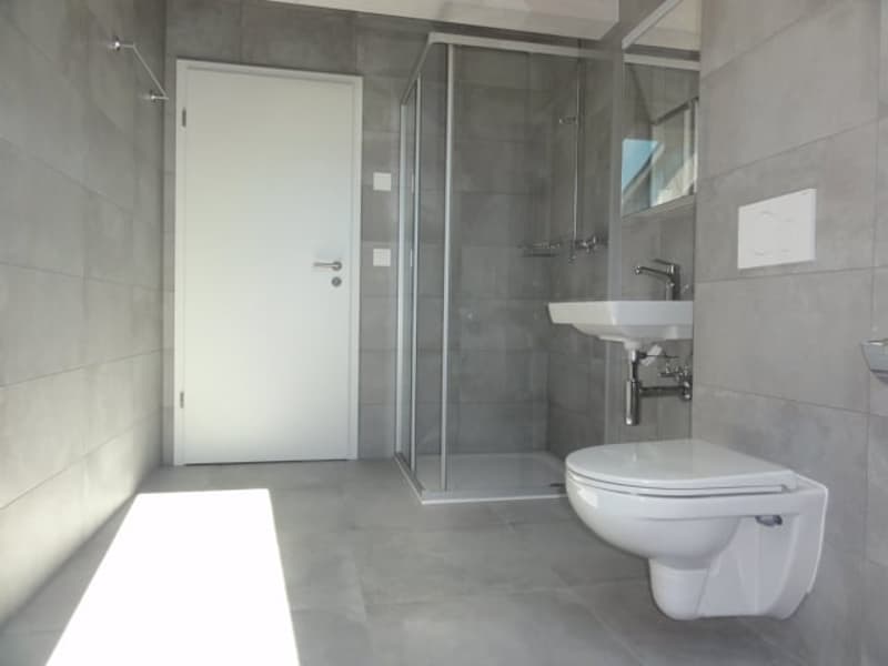 Attique dans les combles de 5,5, Minergie, terrasse de 33 m2 (5)