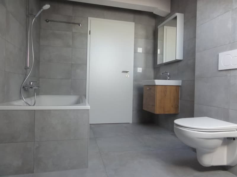 Attique dans les combles de 5,5, Minergie, terrasse de 33 m2 (6)
