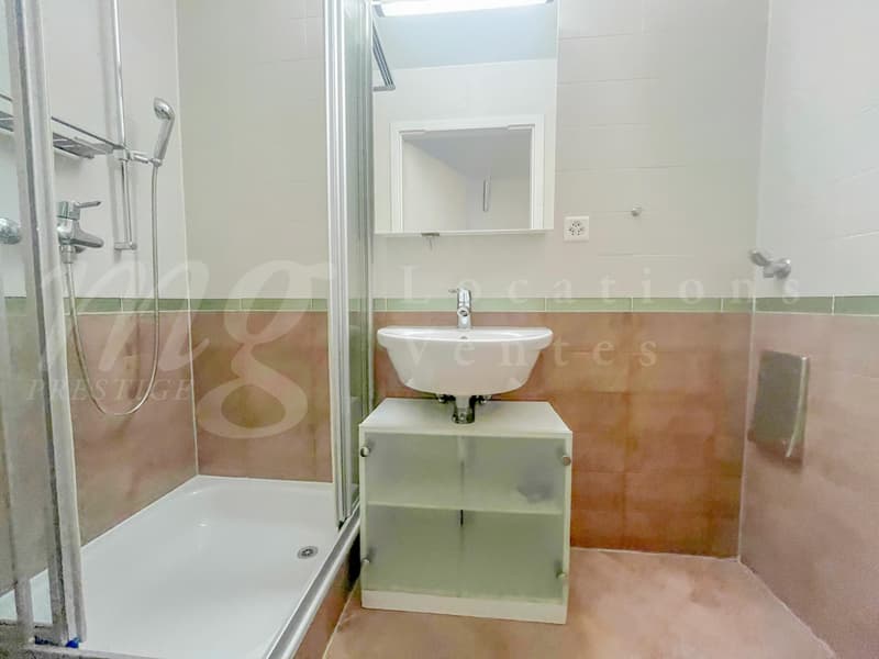 SUPERBE APPARTEMENT DE 7 PIECES - EN PIGNON - AVEC GRAND JARDIN PRIVATIF AUTOUR DE 340 m2 - 4 chambres à coucher (9)