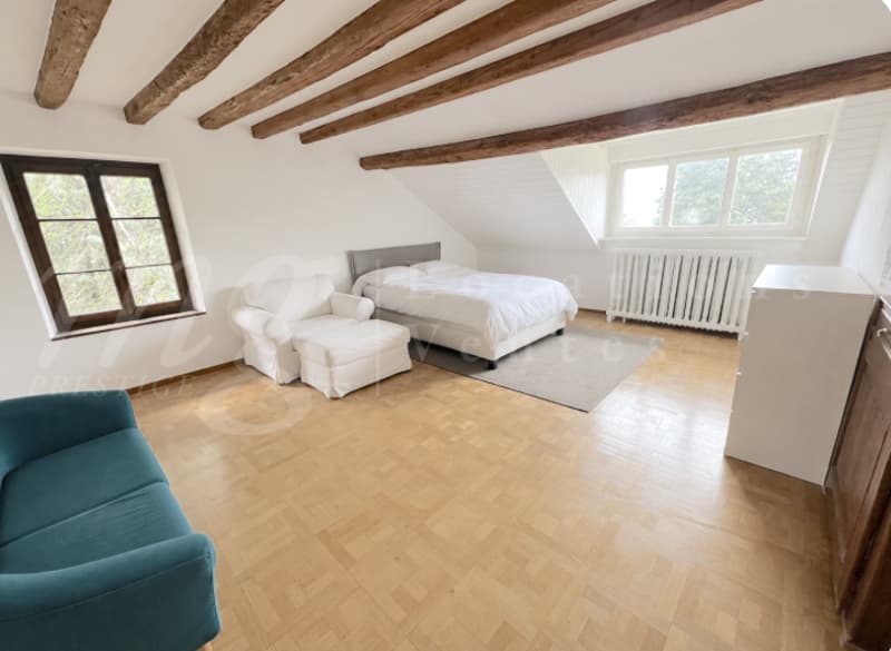 SUPERBE APPARTEMENT FAMILIAL EN DUPLEX DE 300 M2 AVEC JARDIN - VUE PARTIELLE LAC (11)