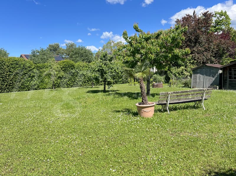 SUPERBE MAISON INDIVIDUELLE DE 250 m2 hab - RAVISSANT JARDIN CLOTUREE - ARBORISE - ET CALME DE 1100 m2 (2)