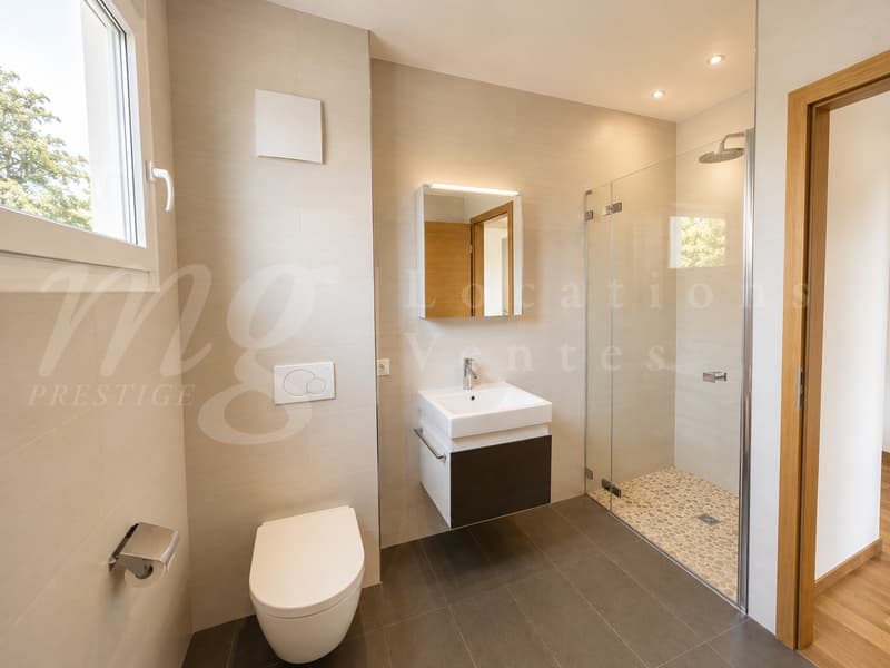 En exclusivité ! MAGNIFIQUE MAISON MODERNE DE 300 M2 AVEC GRAND JARDIN ET PISCINE (13)