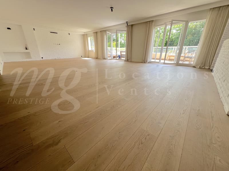 SUPERBE APPARTEMENT DE 7 PIECES DE 250 m2 AVEC LARGE TERRASSE -+ 3 BALCONS ET VUE DEGAGEE (3)