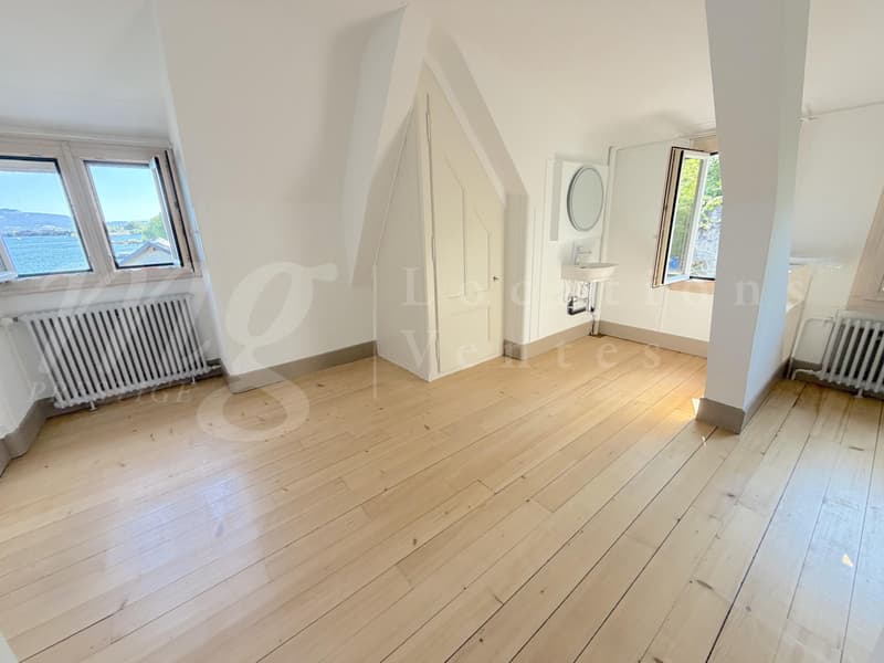 RARISSIME ! AU BORD DU LAC !! RAVISSANTE MAISON DE 5 PIECES AVEC LARGE TERRASSE - PONTON ET PLACE BATEAU (13)