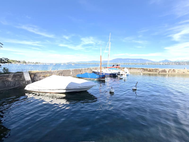 RARISSIME ! AU BORD DU LAC !! RAVISSANTE MAISON DE 5 PIECES AVEC LARGE TERRASSE - PONTON ET PLACE BATEAU (2)