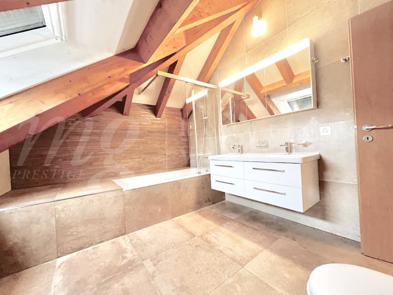 SUPERBE ET GRANDE MAISON DE 10 PIECES - 350 m2 - HPE - JARDIN DE 1100 m2 ET GRAND JACUZZI EXTERIEUR (11)