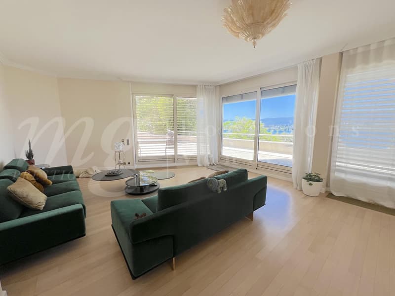 MAISON MODERNE DE 400 m2 hab - VUE PANORAMIQUE A 180 SUR LE LAC - PISCINE - ASCENSEUR (5)